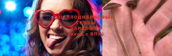 spice Мегион