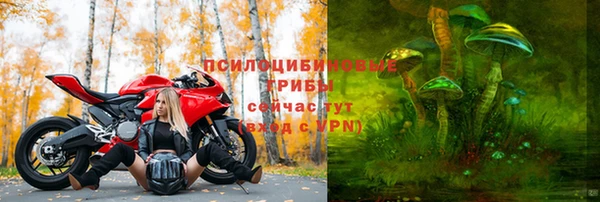 скорость Медвежьегорск