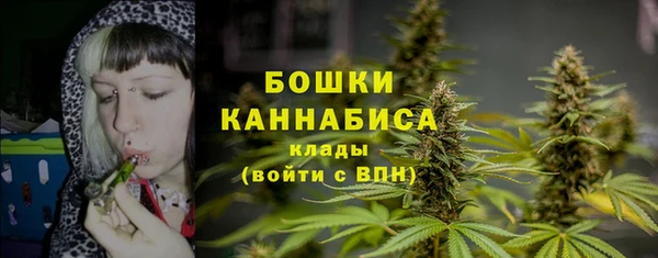 spice Мегион